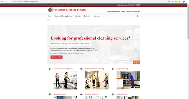 Diamond Cleaning Services