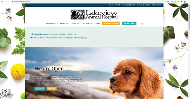 Lakeview Animal Hospital