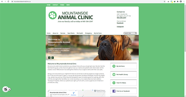 Mountainside Animal Clinic